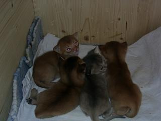 03150028.jpg (9217 Byte)