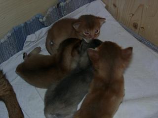 03150029.jpg (9358 Byte)