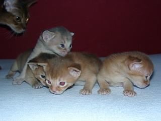 03150030.jpg (9814 Byte)