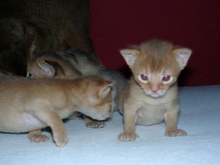 03150031.jpg (9066 Byte)