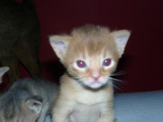 03150032.jpg (8588 Byte)