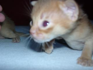 03150033.jpg (7980 Byte)