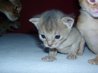 03150034.jpg (11499 Byte)