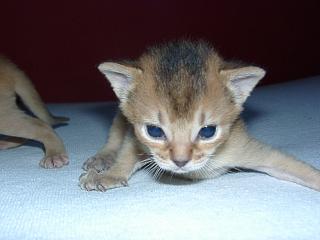 03150035.jpg (10450 Byte)