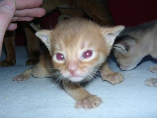 03150036.jpg (10630 Byte)