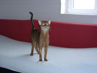 03170001.jpg (7346 Byte)