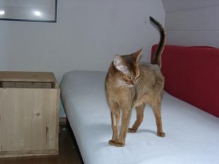 03170002.jpg (8410 Byte)