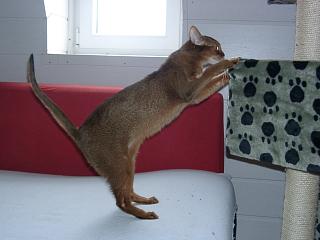 03170003.jpg (11461 Byte)