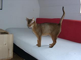 03170005.jpg (7947 Byte)