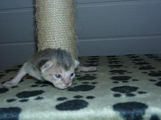 03190001.JPG (11857 Byte)