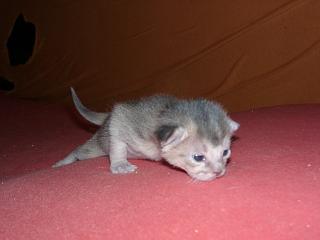 03190002.JPG (8030 Byte)