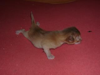 03190010.JPG (6218 Byte)