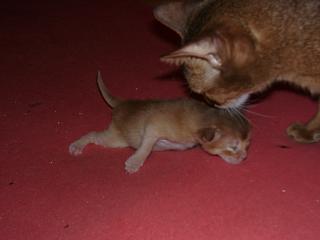 03190011.JPG (7772 Byte)