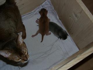 03190012.JPG (10537 Byte)