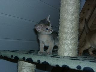 04090004.JPG (10699 Byte)