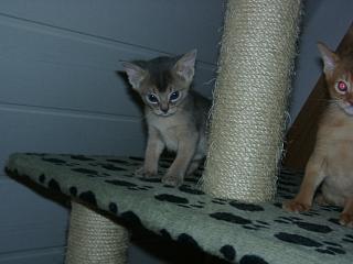 04090006.JPG (12153 Byte)