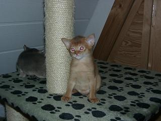 04090010.JPG (13720 Byte)