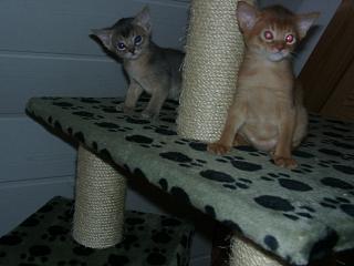 04090011.JPG (12207 Byte)