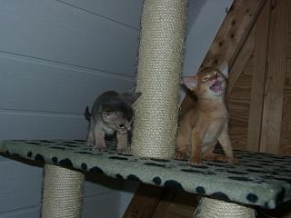 04090012.JPG (11828 Byte)