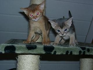 04090015.JPG (11539 Byte)