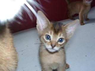 04140001.jpg (10033 Byte)