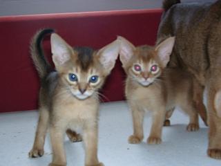 04140003.jpg (10218 Byte)