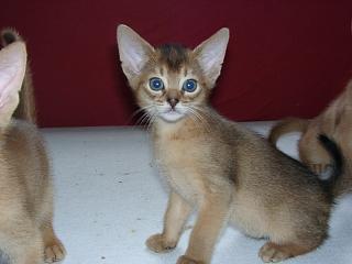 04140004.jpg (10147 Byte)