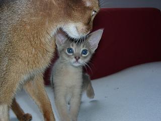 04140007.jpg (12054 Byte)