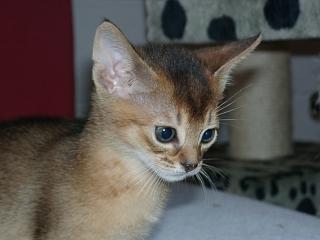 04140010.jpg (10502 Byte)