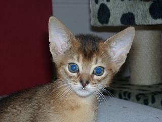 04140011.jpg (11058 Byte)