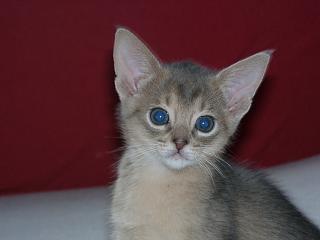 04140015.jpg (7861 Byte)