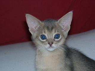 04140016.jpg (8280 Byte)