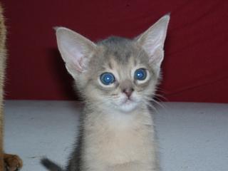 04140017.jpg (8073 Byte)