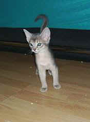 04160012.jpg (8444 Byte)