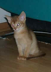 04160013.jpg (8293 Byte)