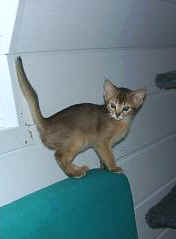 04160018.jpg (9570 Byte)