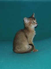 04160025.jpg (6156 Byte)