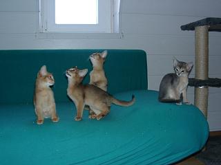 04160033.jpg (8984 Byte)