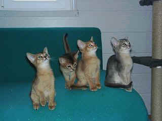 04160035.jpg (10126 Byte)