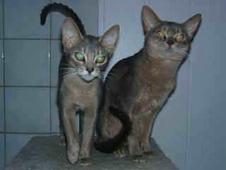 04280001.jpg (10489 Byte)