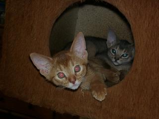 05030001.jpg (10083 Byte)