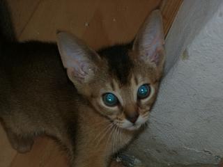 05030002.jpg (9164 Byte)