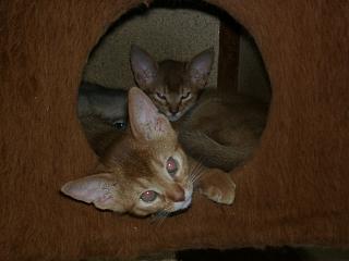 05030003.jpg (10065 Byte)