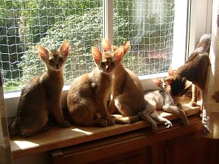 05120002.jpg (21972 Byte)