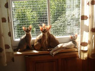 05120003.jpg (21200 Byte)