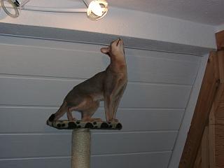 05300012.JPG (8998 Byte)