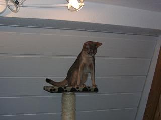 05300013.JPG (8310 Byte)