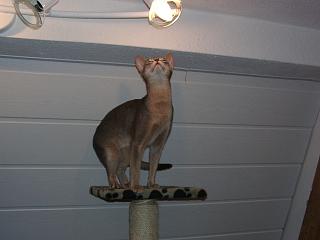 05300014.JPG (8795 Byte)