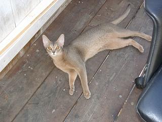 06220001.jpg (14894 Byte)