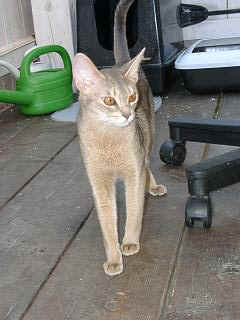 06220006.jpg (15767 Byte)